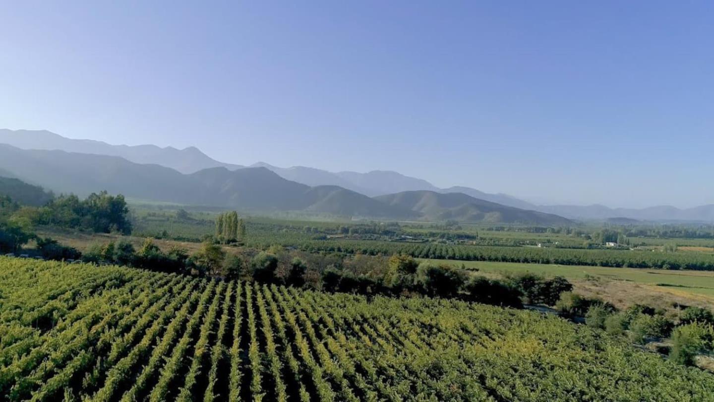 Vina Lof - Maipo Valley Bed & Breakfast In Winery Paine Extérieur photo