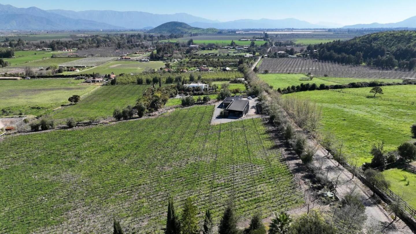 Vina Lof - Maipo Valley Bed & Breakfast In Winery Paine Extérieur photo