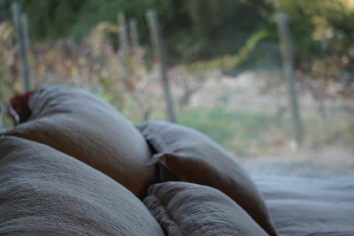 Vina Lof - Maipo Valley Bed & Breakfast In Winery Paine Extérieur photo