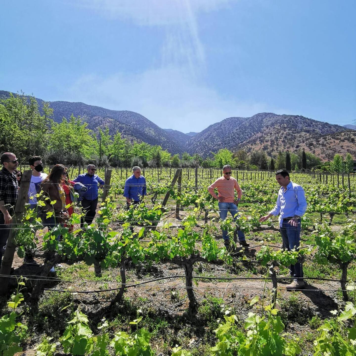 Vina Lof - Maipo Valley Bed & Breakfast In Winery Paine Extérieur photo