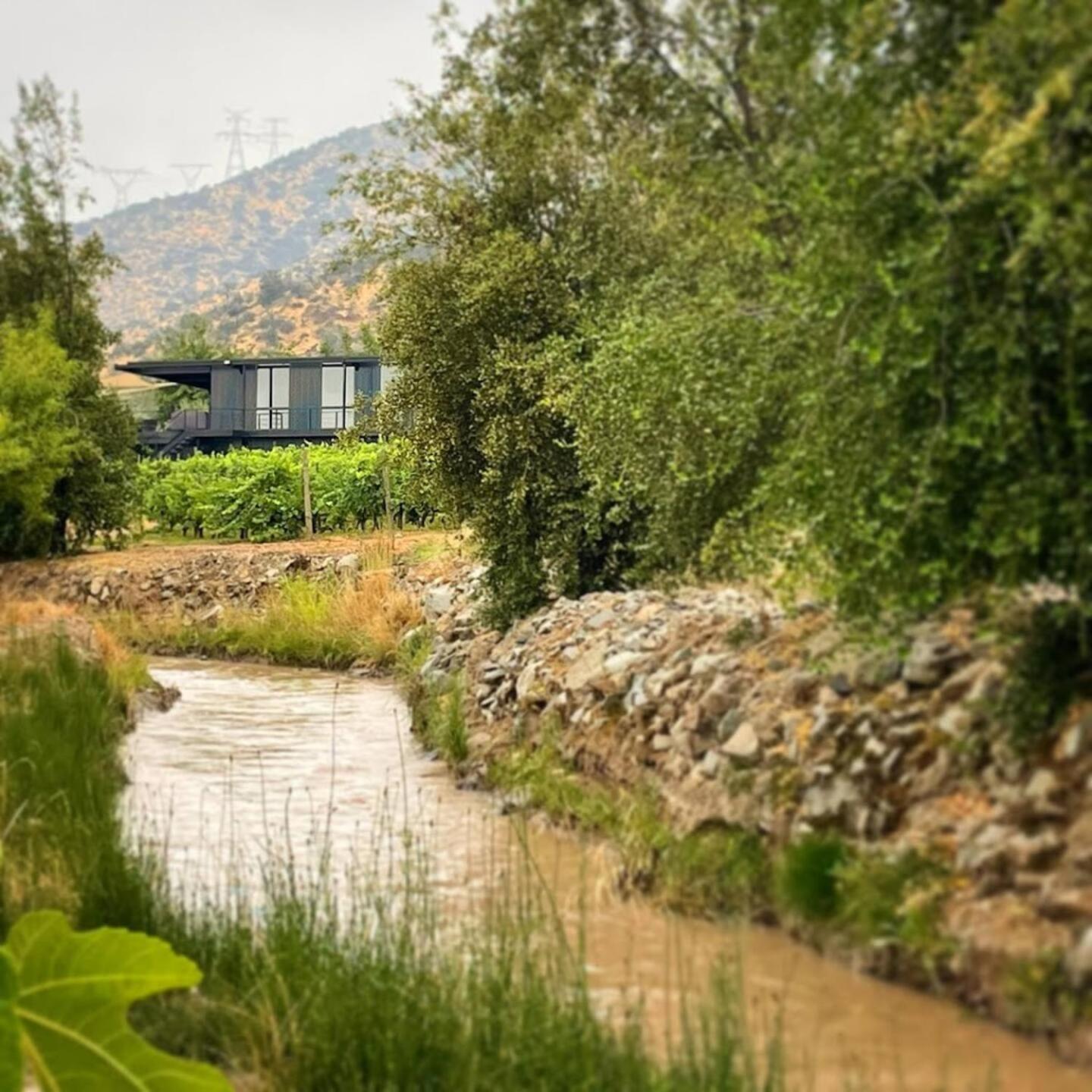 Vina Lof - Maipo Valley Bed & Breakfast In Winery Paine Extérieur photo