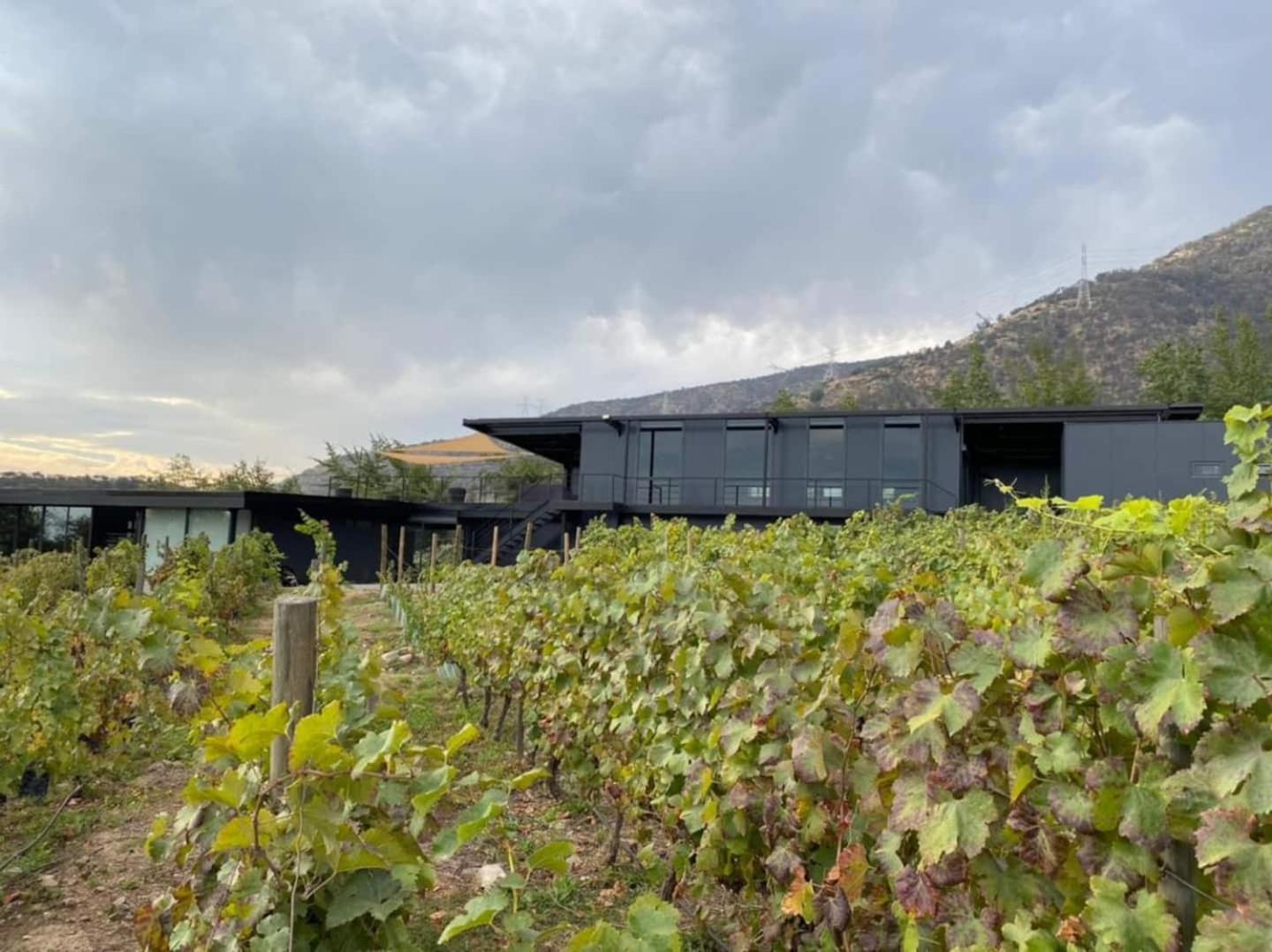 Vina Lof - Maipo Valley Bed & Breakfast In Winery Paine Extérieur photo