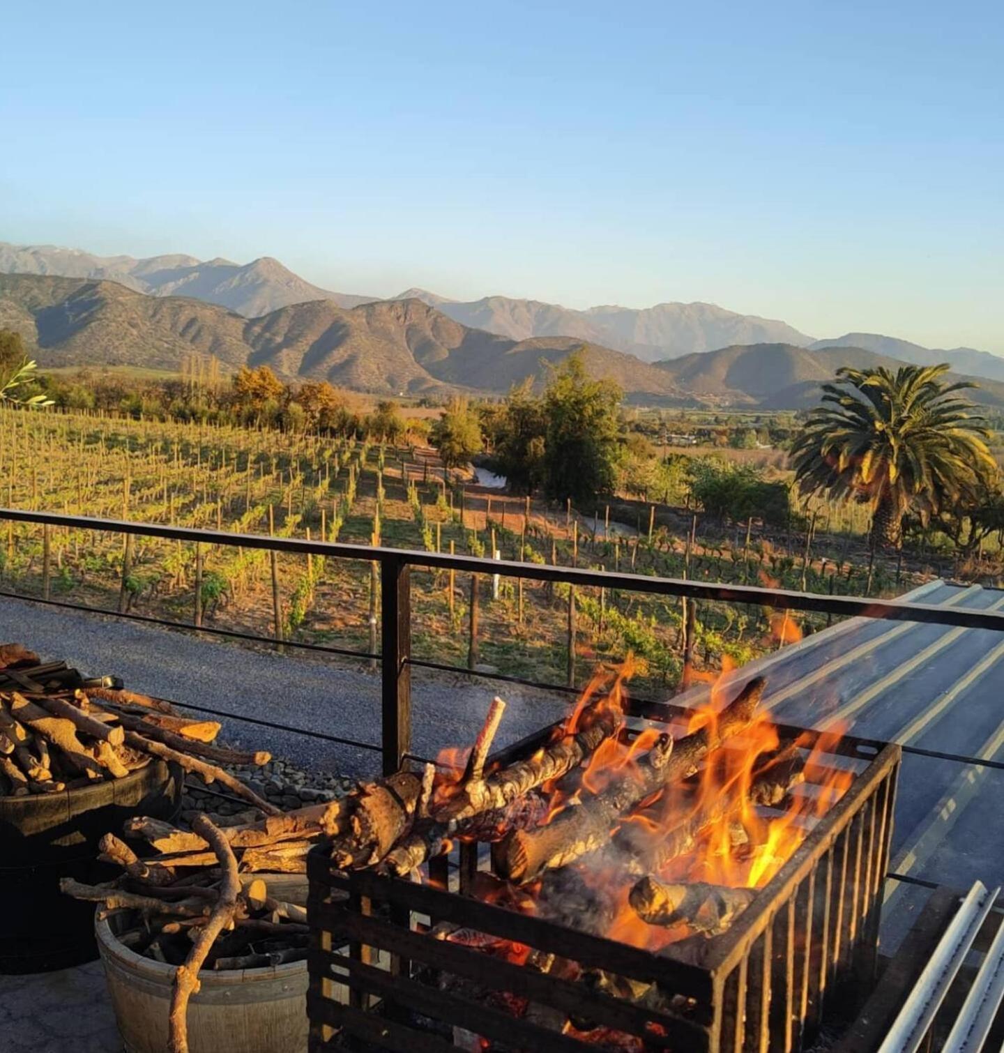 Vina Lof - Maipo Valley Bed & Breakfast In Winery Paine Extérieur photo