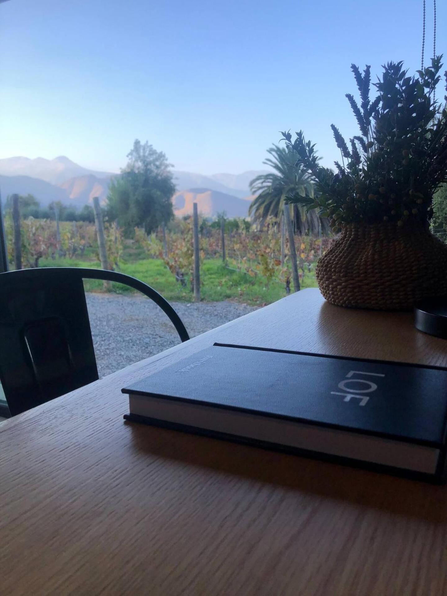 Vina Lof - Maipo Valley Bed & Breakfast In Winery Paine Extérieur photo