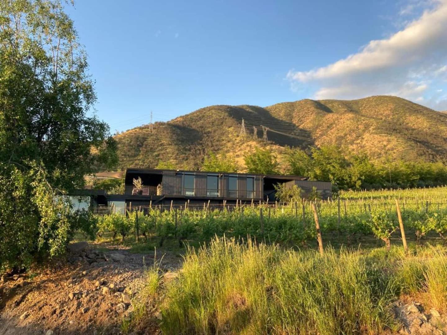 Vina Lof - Maipo Valley Bed & Breakfast In Winery Paine Extérieur photo